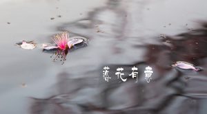 “落花有意随流水，流水无心恋落花”是什么意思？(图1)