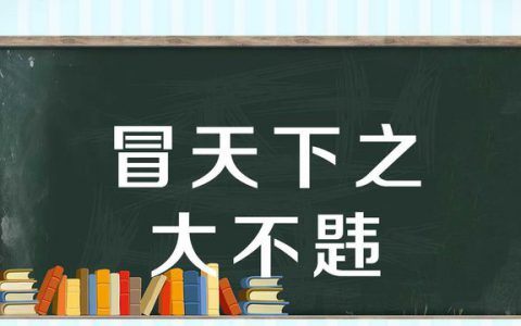 “冒天下之大不韪”是什么意思？