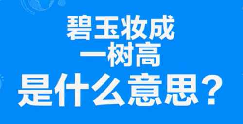 “碧玉妆成一树高，万条垂下绿丝绦