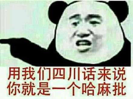 “你是一个哈麻批”是什么意思？