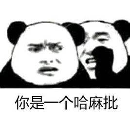 “你是一个哈麻批”是什么意思？