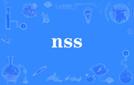 【网络用语】“nss”是什么意思？(图1)