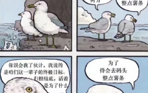 【网络热词】“去码头整点薯条”是什么梗？