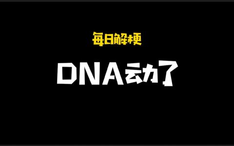 dna动了是什么梗（DNA起反应了是什么意思）