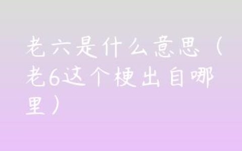 老六是什么意思（老6这个梗出自哪里）