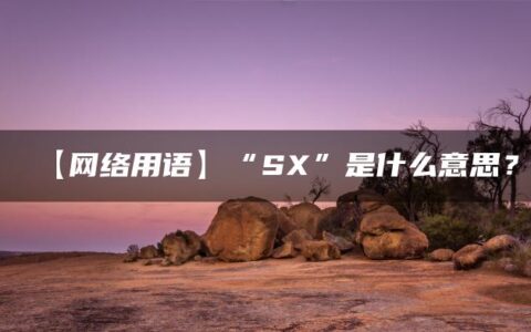 【网络用语】“SX”是什么意思？