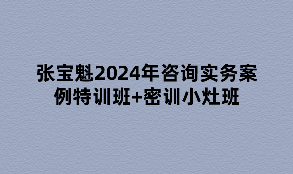 张宝魁2024年咨询实务案例特训班+密训小灶班视频教程