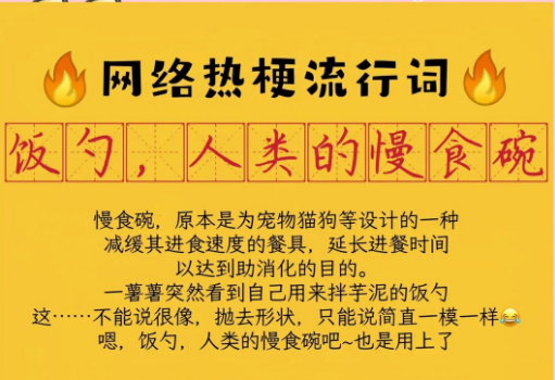 “饭勺，人类的慢食碗”是什么意思？